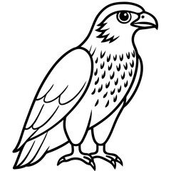 Hawk line art vector