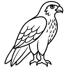 Hawk line art vector