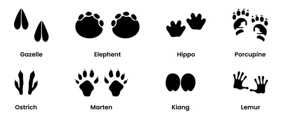 Wild Animal Footprint Silhouette Black Filled - Vector Illustration Set Of Outdoor Design Icon.