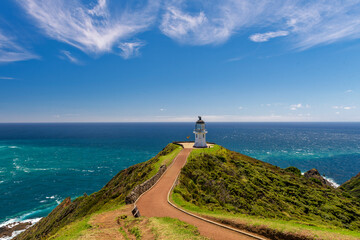 on the way to the lighthouse at the northern tip of New Zealand, Cape Reinga