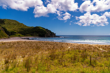 untouched, deserted stretch of coast