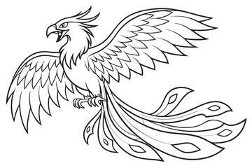 Obraz premium Line art of a fierce phoenix, suitable for a coloring page, simple lines, no shading, clear outlines, black and white