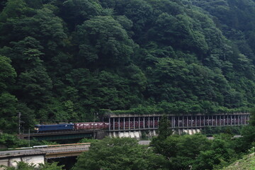 新緑に染まる木曽路を力走するEF64-1033号機牽引の貨物列車(81レ)_2025/7/1撮影