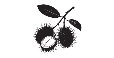 Exotic rambutan fruit branch with leaves and cut open slice silhouette