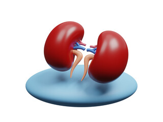 Kidneys anatomy icon isolated transparent background, Concept of organ donor, kidney problems, kidney cysts, kidney failure and cancer. Treatment of pyelonephritis. Medical of health. 3d rendering