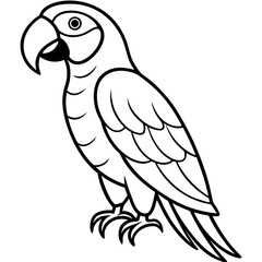 Obraz premium Macaw line art vector