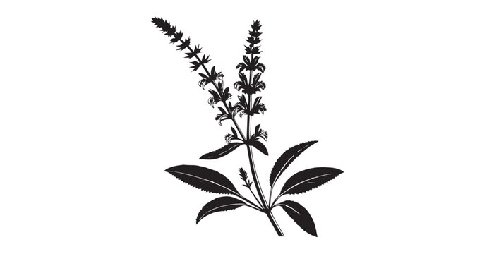 black plant silhouette on white background clip art preview