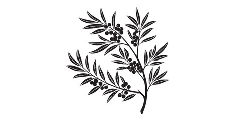 Elegant black silhouette of a flowering branch with berries and detailed leaves