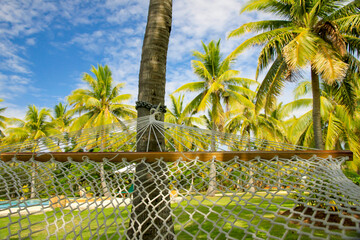 Relaxing on the hammock on the Tropical Island on a Beautiful Sunny Day