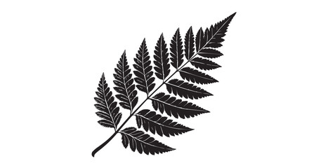 Detailed black fern leaf silhouette against a clean white background