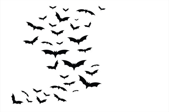 Flying Bats Vector Illustration. Silhouette vector of flying bats on white background.