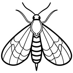 Moth  line art vector