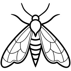 Moth  line art vector