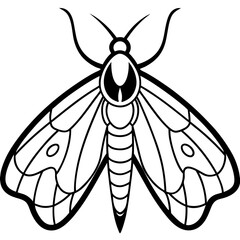 Moth  line art vector
