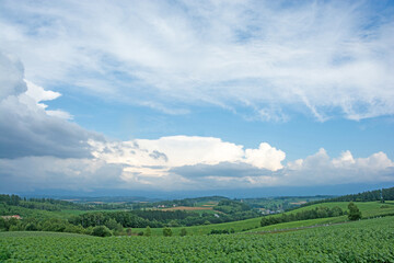夏の緑の丘陵地帯
