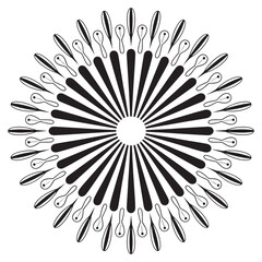 Obraz premium Striking Circular Burst of Black Rays and Stylized Feather Ornaments A Modern Geometric Composition with Radial Symmetry