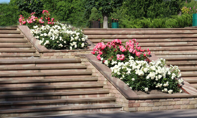 Design of landscaping in the garden, park, square, recreation area