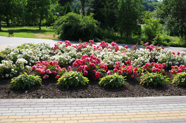 Design of landscaping in the garden, park, square, recreation area