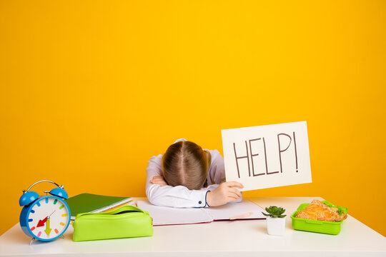 Young girl expresses student challenges holding help sign at desk with study items in colorful background setting