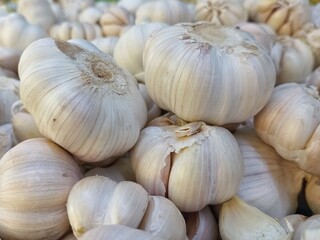 garlic on market
