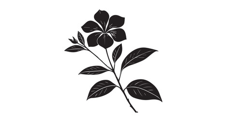 Elegant black and white stylized flower and leaves silhouette