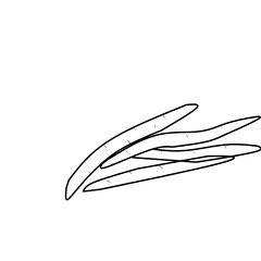 Coloring book for children. Beans ector illustration. 