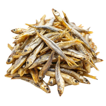 Dried anchovy fish isolated on white background
