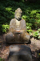 Buddha