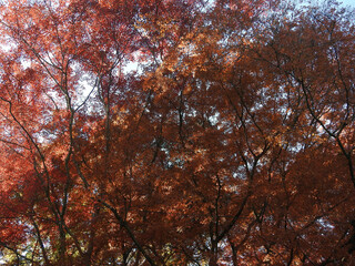 今はこれが私の世界