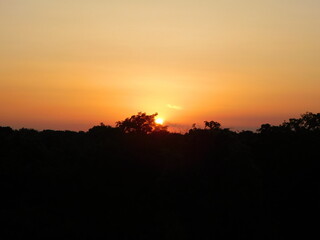 sunset over the field