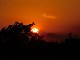 sunset in the forest