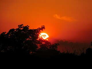sunset in the forest