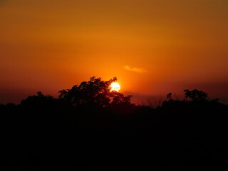 sunset in the forest