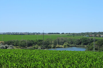 A river with trees and grass