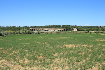 A house in a field