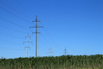 Power lines in a field