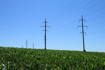 Power lines in a field