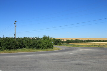 A road with trees on the side