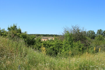 A grassy area with trees and a building in the background