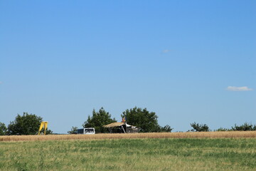 A house in a field