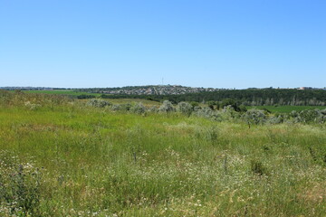 A grassy field with a hill in the background