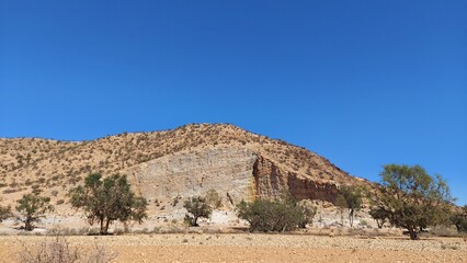 A panoramic view of an argan forest located in the heart of central Morocco, with the rugged Anti Atlas Mountains in the background and a vivid blue sky above.