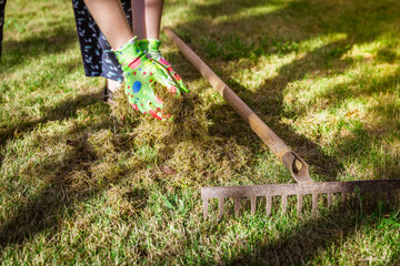 Cleaning up the grass with a rake. Aerating and scarifying the lawn in the garden. Improving the quality of the lawn by removing old grass and moss.