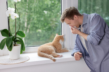 Man suffering from allergy with his cat near window at home