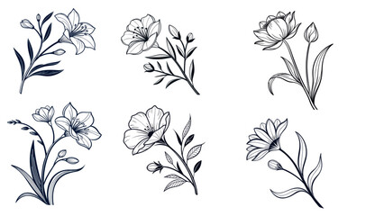 Fototapeta premium hand-drawn floral line art vector set of elegant flowers and leaves