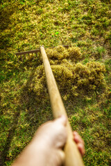 Cleaning up the grass with a rake. Aerating and scarifying the lawn in the garden. Improving the quality of the lawn by removing old grass and moss.