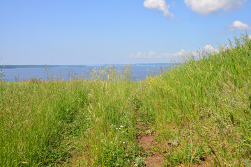 A Grassy Hillside Overlooking a River on a Bright Summer Day copy space