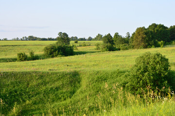 Scenic view of a lush green meadow with trees under a clear blue sky wallpaper