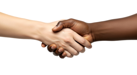 Interracial Handshake: Unity, Diversity, and Global Collaboration