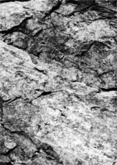 Large vector halftone rock texture with a transparent background